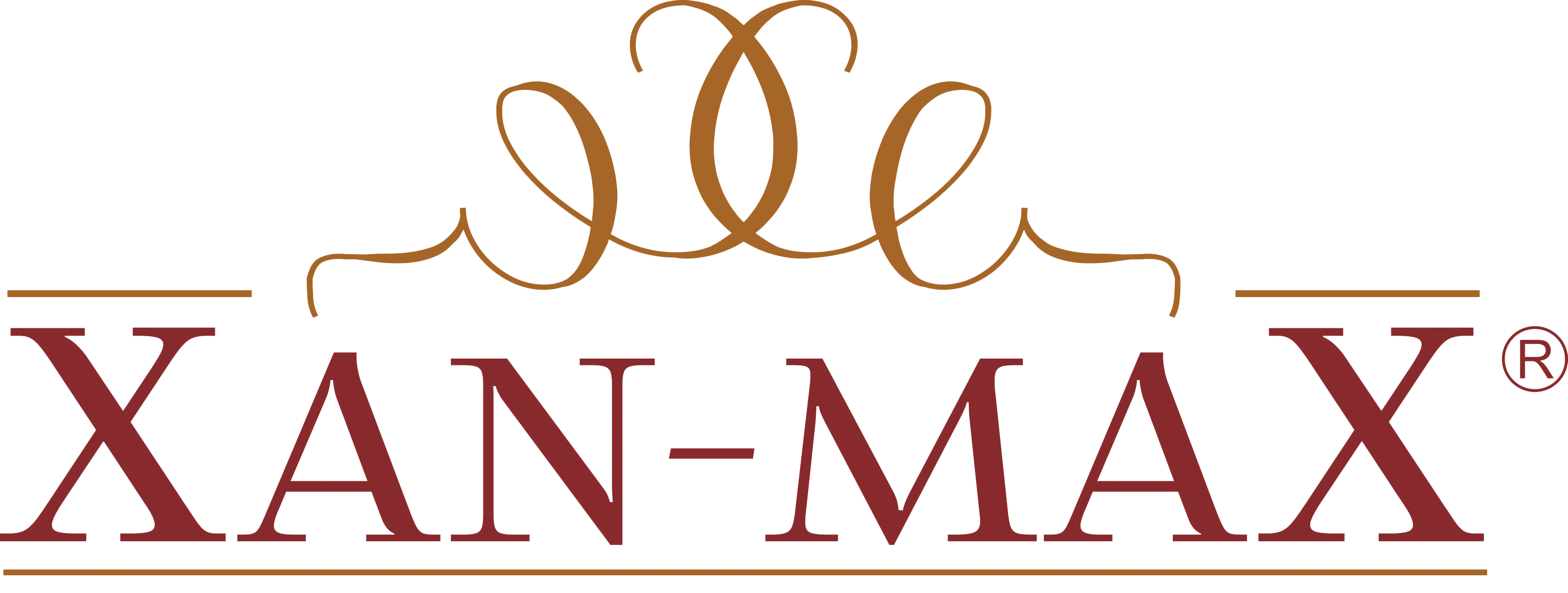 What Are Antioxidants XAN MAX what-are-antioxidants-xan-max